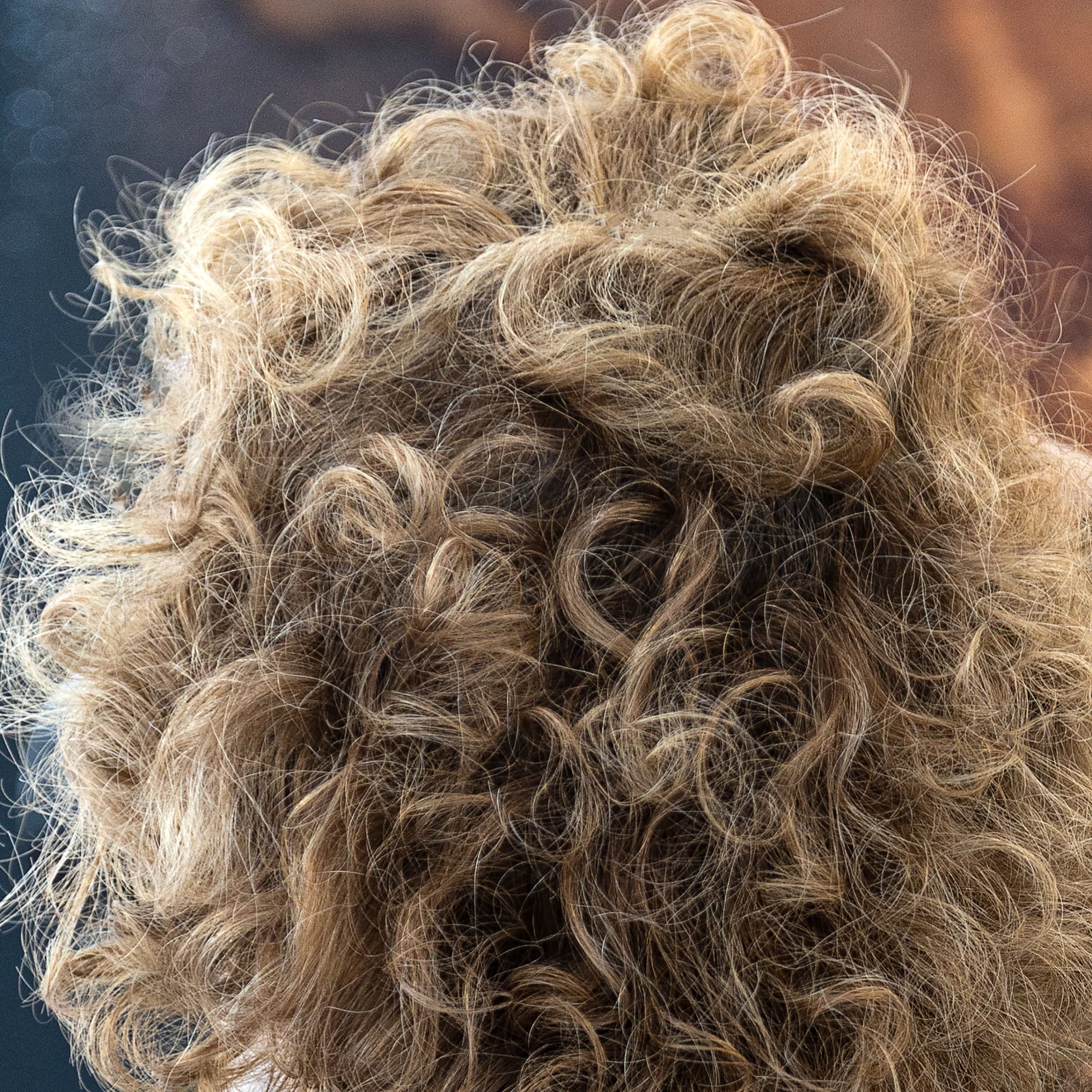 Curly balayage hair from the back